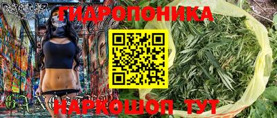 кокс Аргун