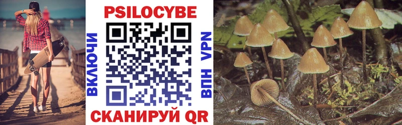 Галлюциногенные грибы Psilocybine cubensis  Ачинск 